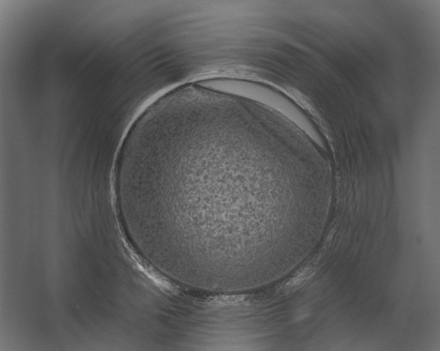 X0000067500846200604211723