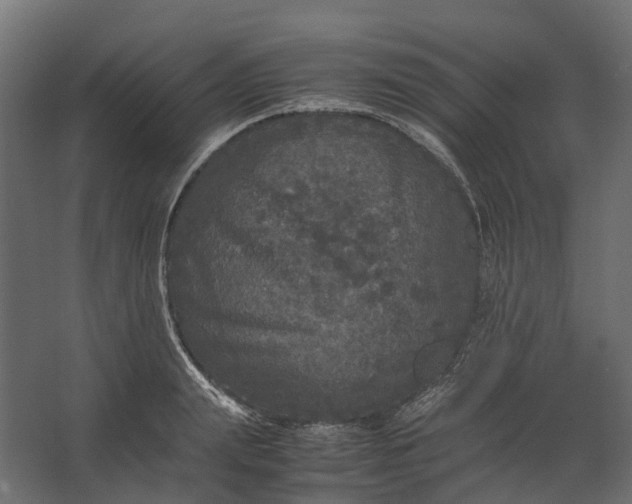 X0000067500847200604211723