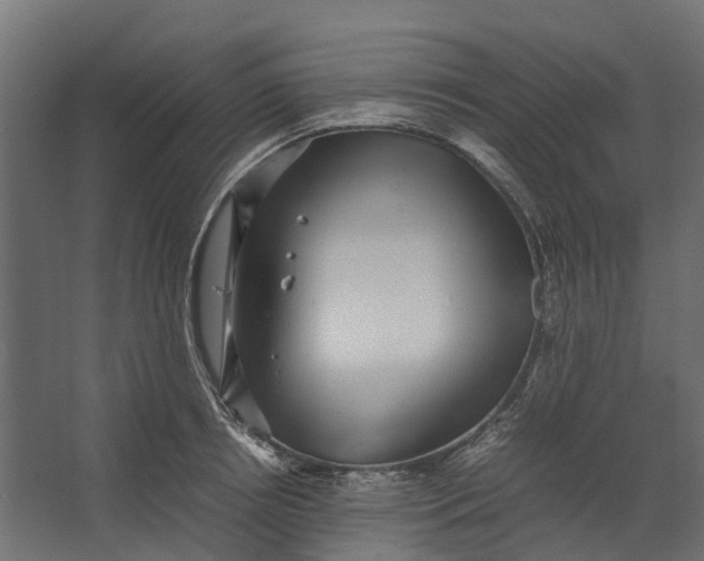 X0000067500850200604211723