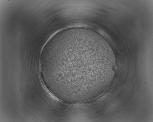 X0000067500852200604211723