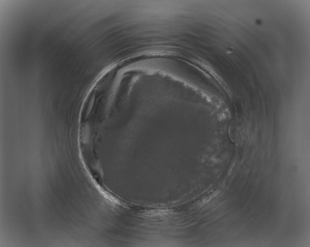 X0000067500853200604211723