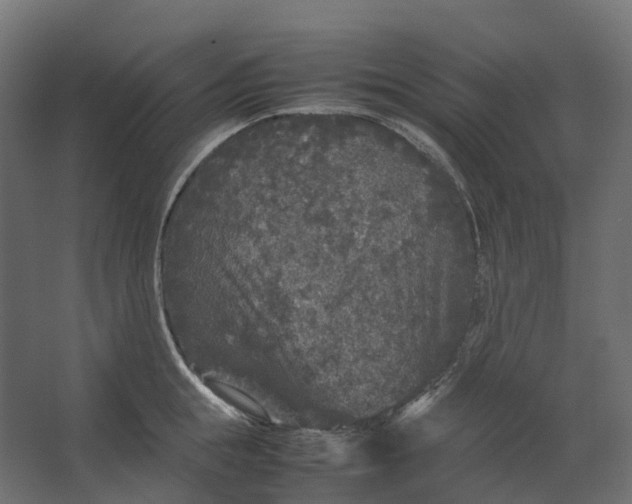 X0000067500855200604211723