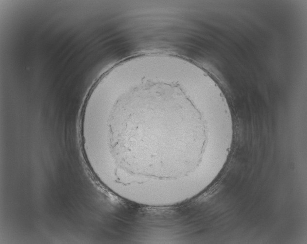 X0000067500856200604211723