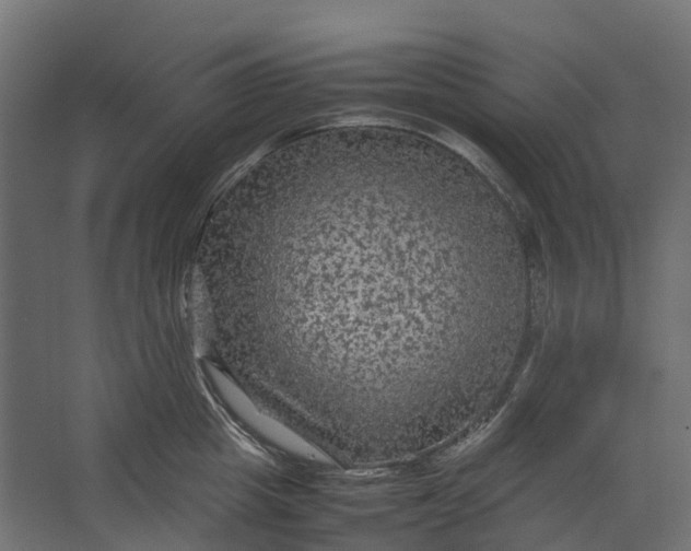 X0000067500857200604211723