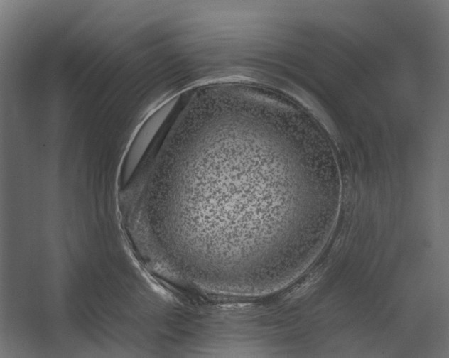 X0000067500858200604211723