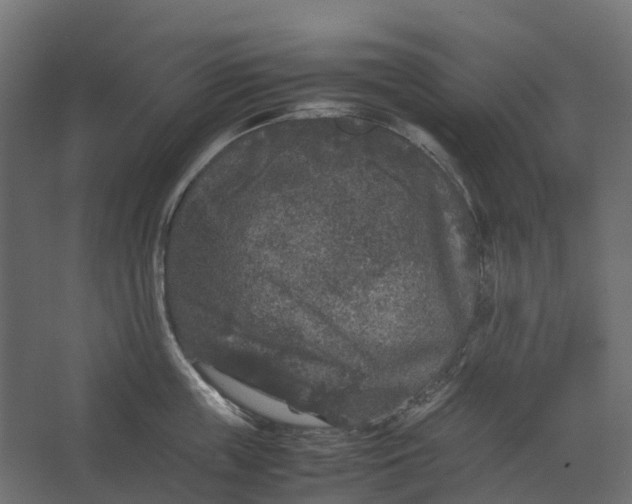 X0000067500859200604211723