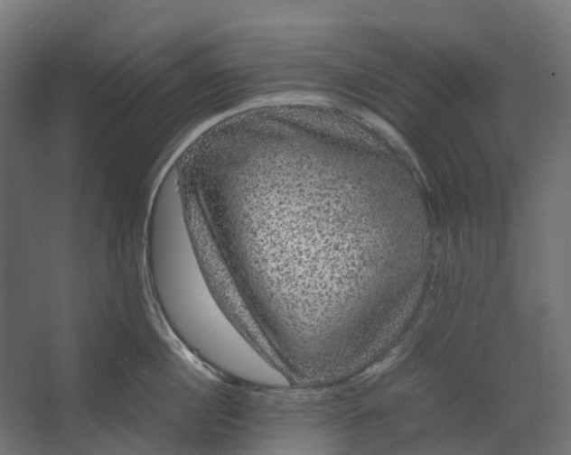 X0000067500860200604211723