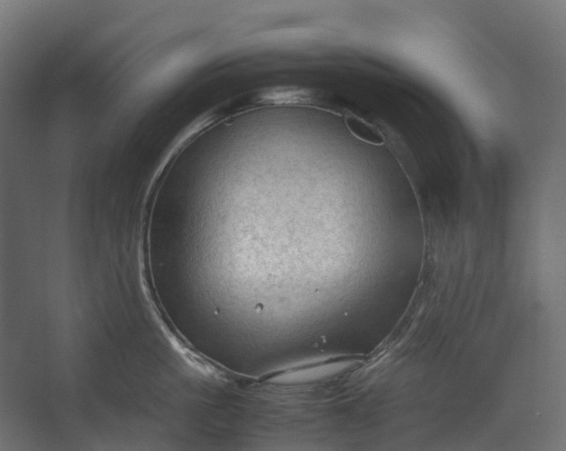 X0000067500861200604211723