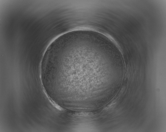 X0000067500862200604211723