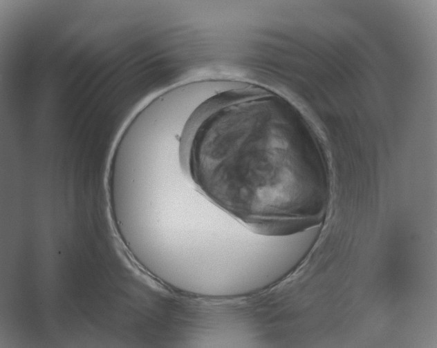 X0000067500864200604211723