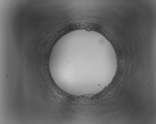 X0000067500865200604211722