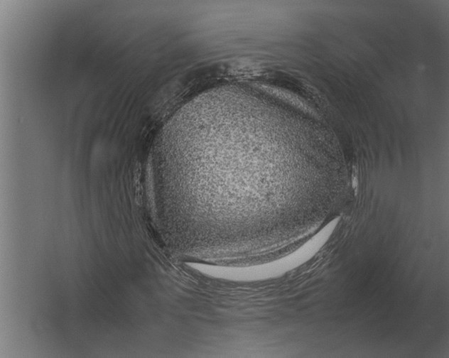 X0000067500867200604211722