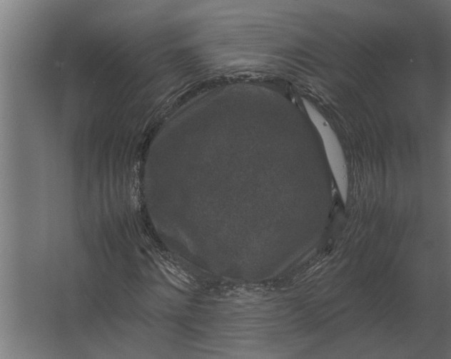 X0000067500868200604211722