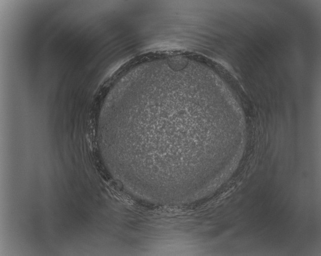 X0000067500871200604211722