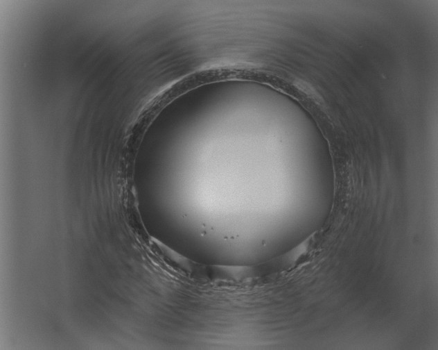 X0000067500872200604211722