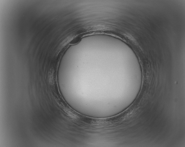 X0000067500873200604211722