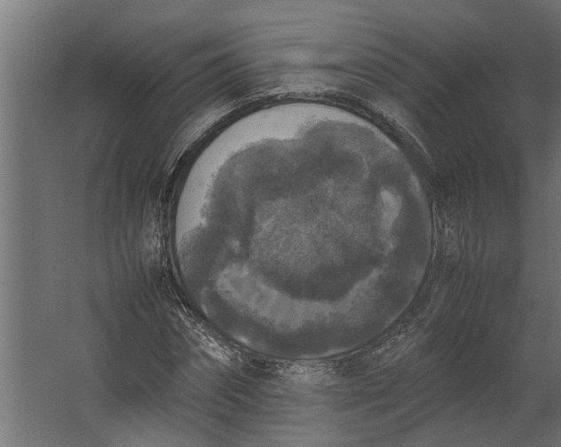 X0000067500874200604211722