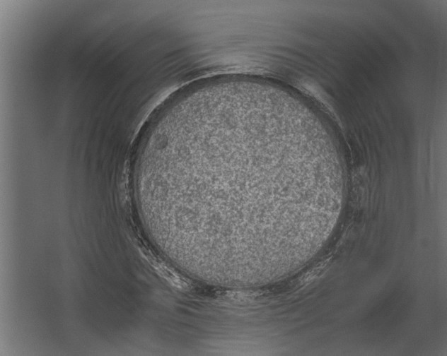 X0000067500875200604211722