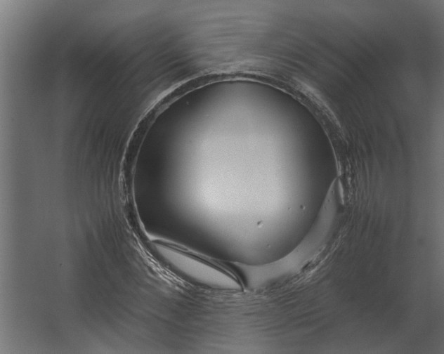 X0000067500876200604211722