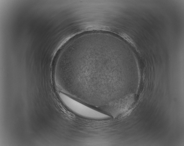 X0000067500877200604211722