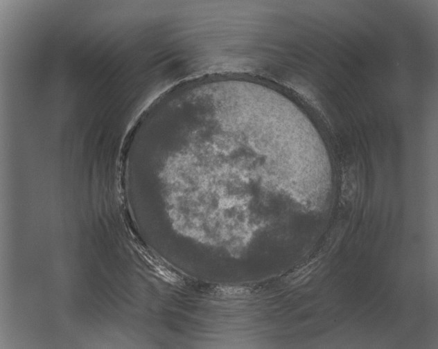 X0000067500878200604211722