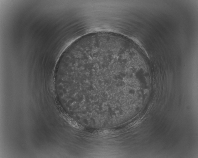 X0000067500879200604211722