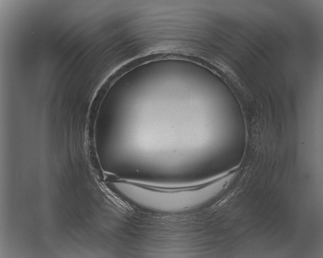 X0000067500880200604211722