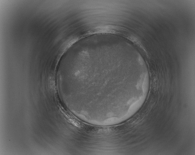 X0000067500882200604211722