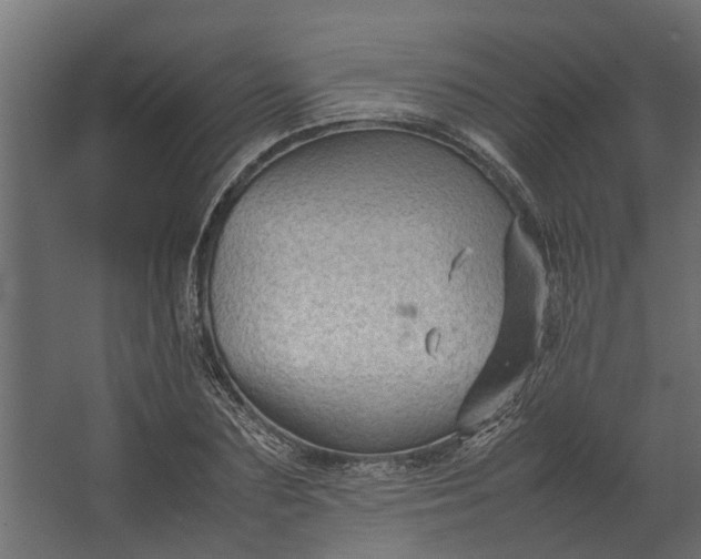 X0000067500883200604211722