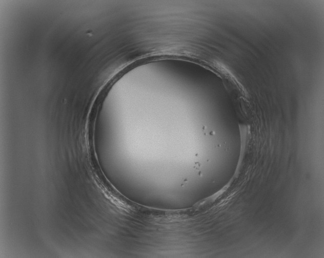 X0000067500884200604211722