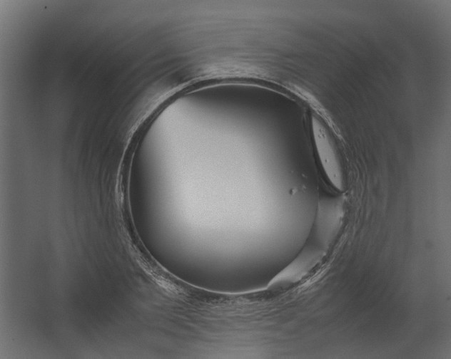 X0000067500885200604211722