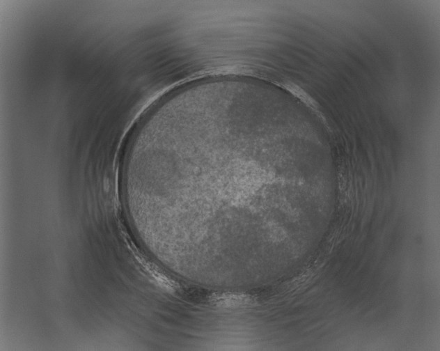 X0000067500886200604211722