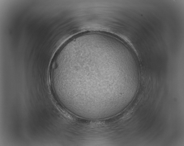 X0000067500887200604211722