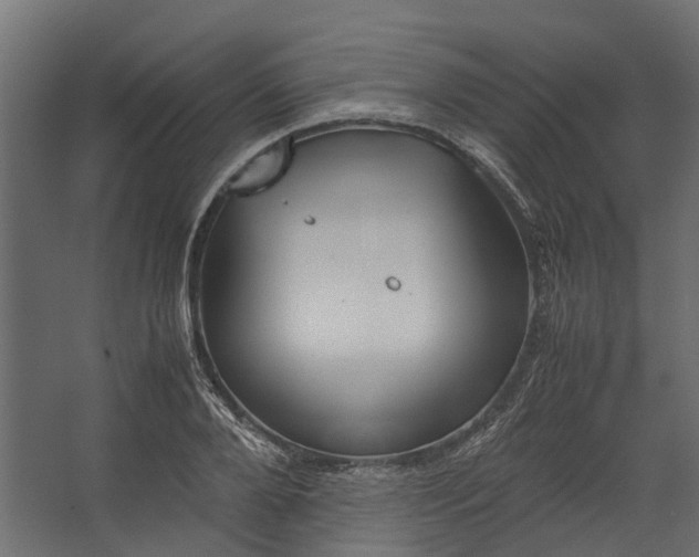 X0000067500888200604211722