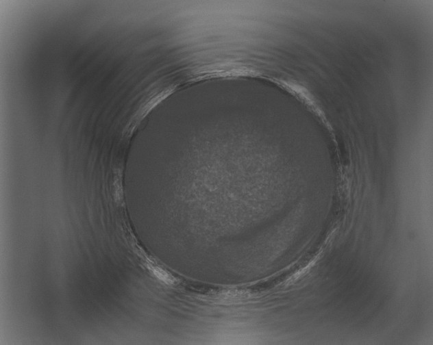 X0000067500889200604211722