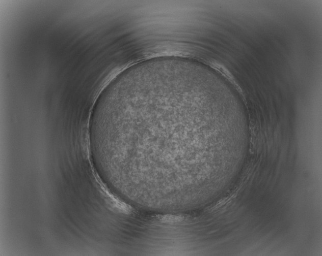 X0000067500890200604211722