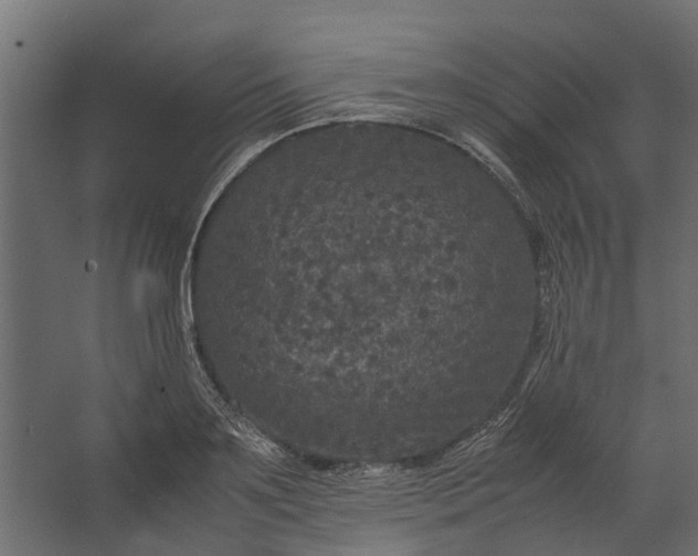 X0000067500891200604211722