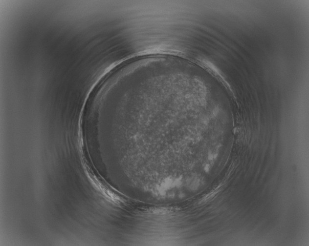 X0000067500892200604211722