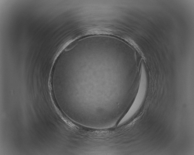 X0000067500893200604211722