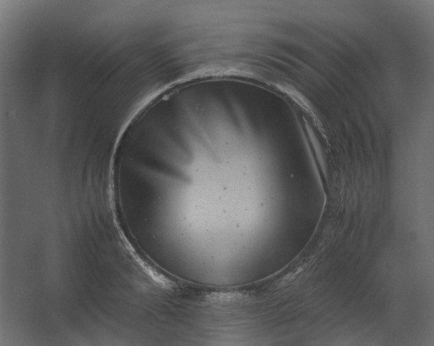 X0000067500894200604211722