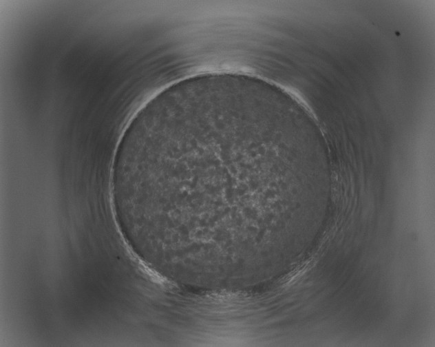 X0000067500895200604211722