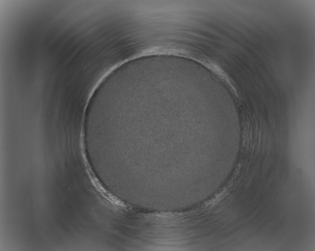 X0000067500896200604211722