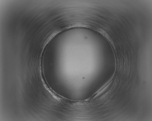 X0000067500898200604211722