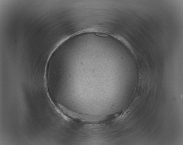 X0000067500902200604211722