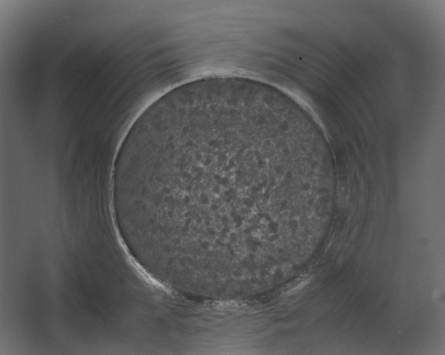 X0000067500903200604211722