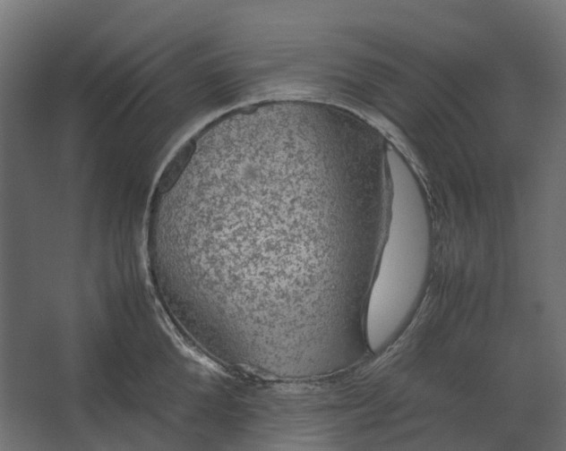 X0000067500904200604211722