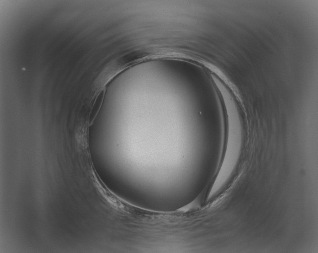 X0000067500905200604211722