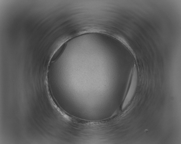 X0000067500906200604211722