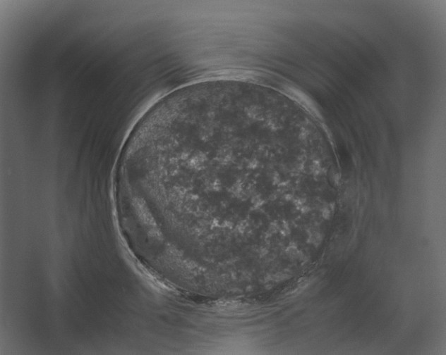 X0000067500907200604211722