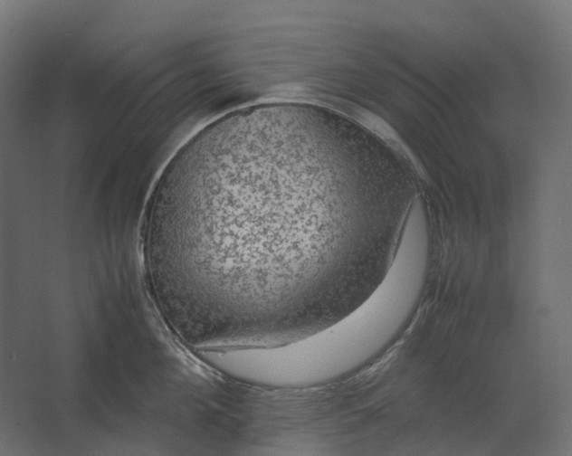 X0000067500908200604211722